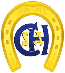 CHSA